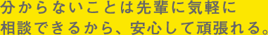 分からないことは先輩に気軽に相談できるから、安心して働ける。